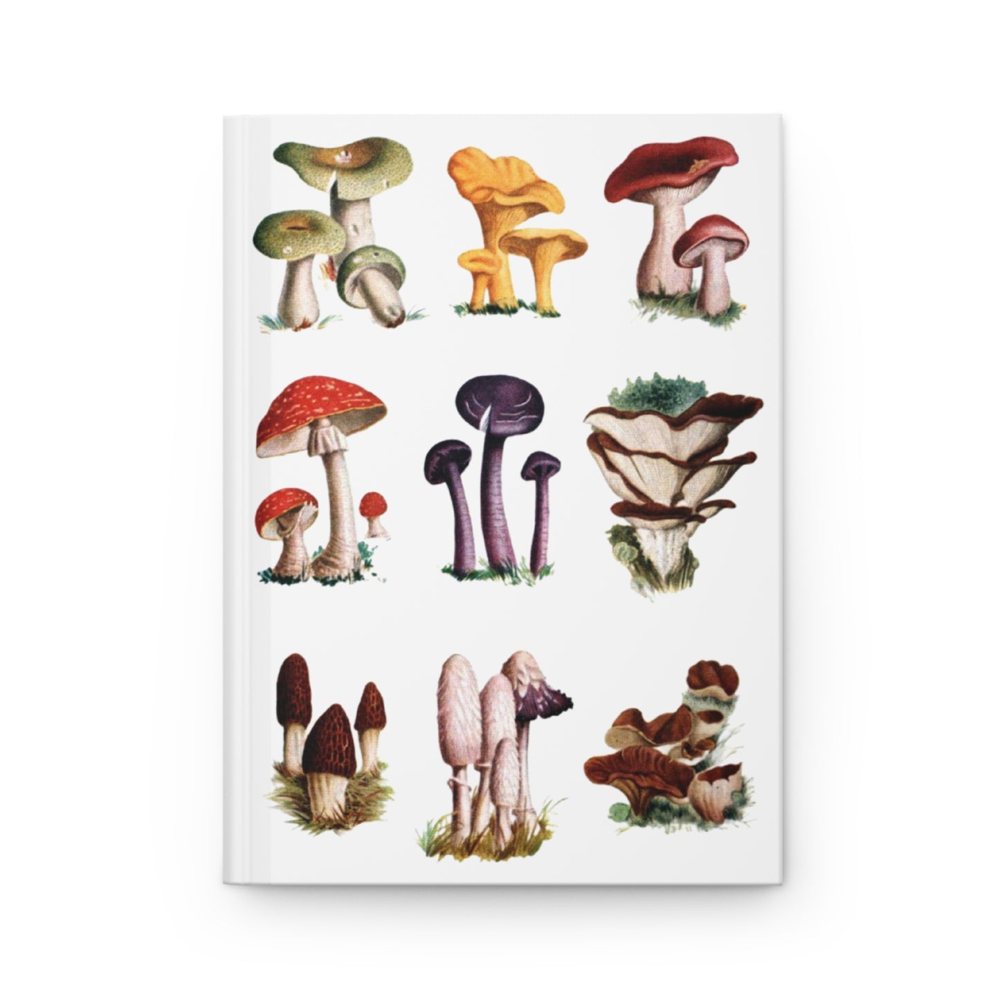 9 mushroom species front cover Russula Chanterelle Morel Fly Agaric educational encyclopedia - LeBonJournal
