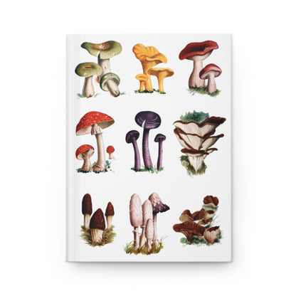 9 mushroom species front cover Russula Chanterelle Morel Fly Agaric educational encyclopedia - LeBonJournal
