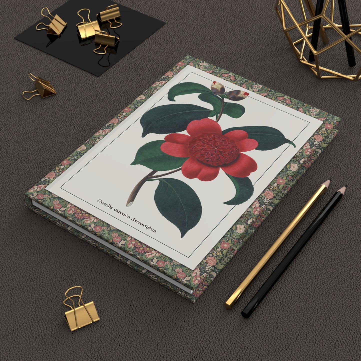Alfred Chandler 1831 Camellia japonica journal on workspace celebrating Victorian Camellieae botanical illustration legacy - LeBonJournal