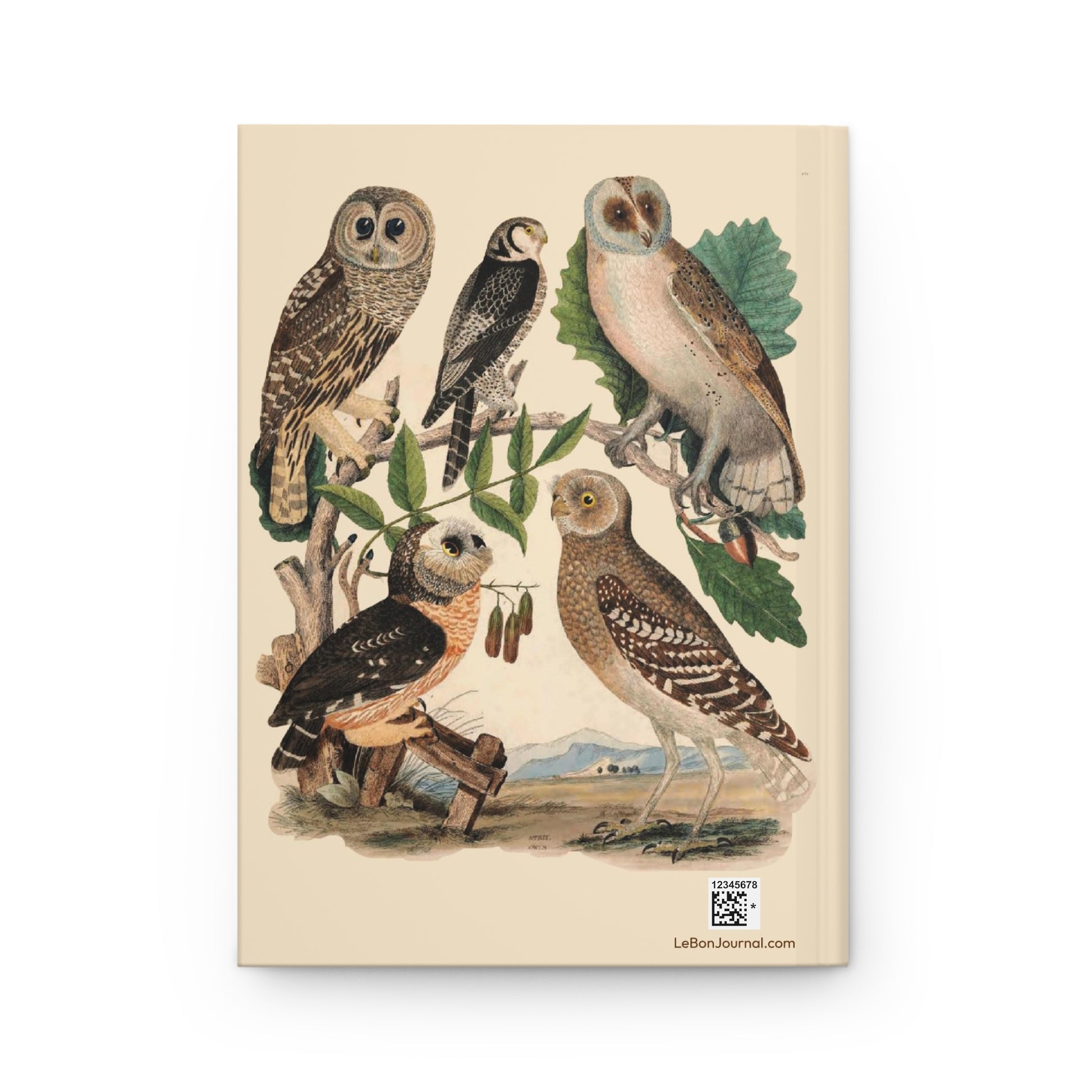 Back cover of American Owls journal featuring Wilson and Bonaparte's Plate XIII with Barred Owl, Burrowing Owl, Northern Hawk-Owl, and Barn Owl from 1835 Edinburgh Journal - LeBonJournal