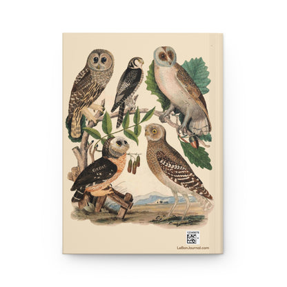 Back cover of American Owls journal featuring Wilson and Bonaparte's Plate XIII with Barred Owl, Burrowing Owl, Northern Hawk-Owl, and Barn Owl from 1835 Edinburgh Journal - LeBonJournal