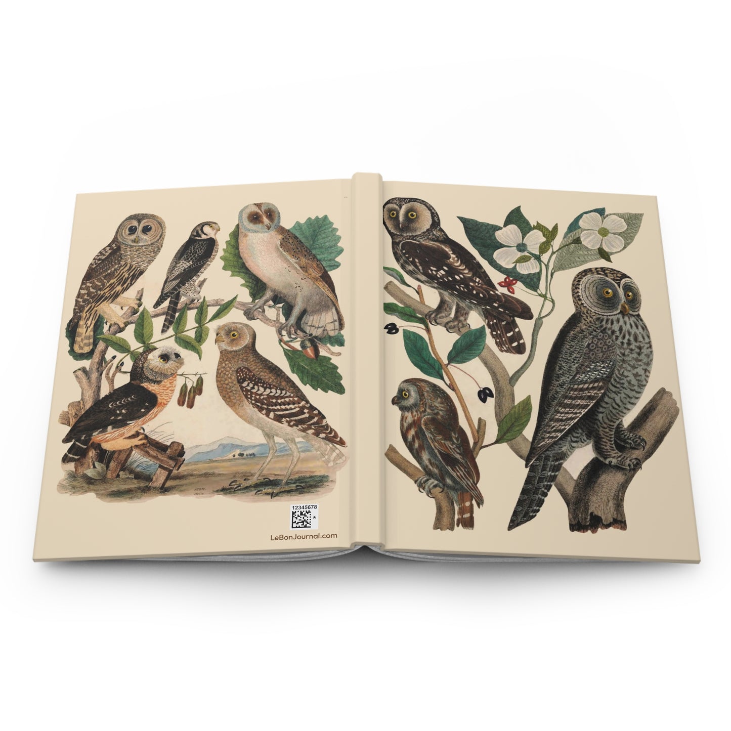 Open American Owls journal showing durable casewrap binding, hardcover construction with Wilson's owl illustrations on front and back covers, and flexible spine for lay-flat field notes - LeBonJournal