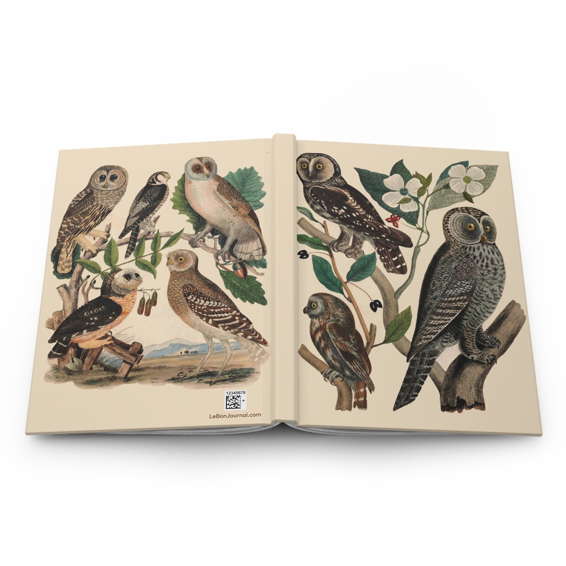 Open American Owls journal showing durable casewrap binding, hardcover construction with Wilson's owl illustrations on front and back covers, and flexible spine for lay-flat field notes - LeBonJournal