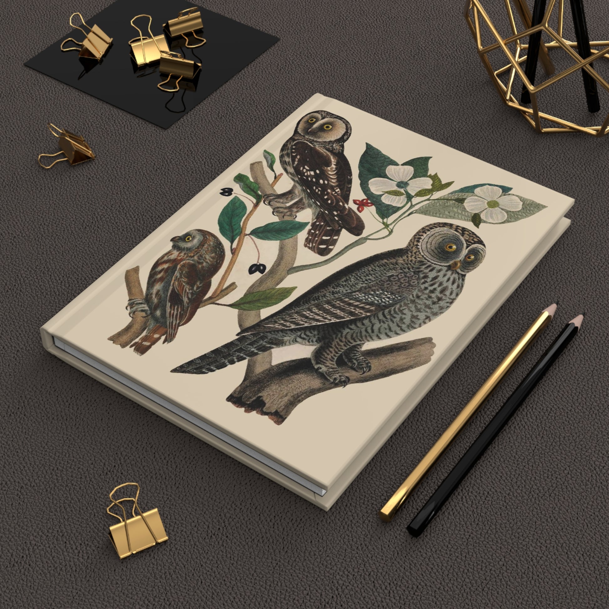 American Owls hardcover journal in lifestyle setting, premium matte finish journal featuring Wilson's ornithology illustrations, elegant stationery for bird watchers, naturalists, and wildlife enthusiasts - LeBonJournal