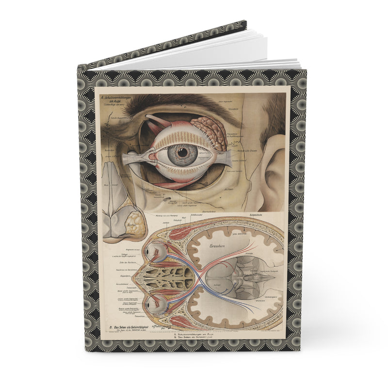 Anatomical eye journal with A. Fiedler 1916-1940 Leipzig German medical wall charts showing eye protection and vision correction - LeBonJournal
