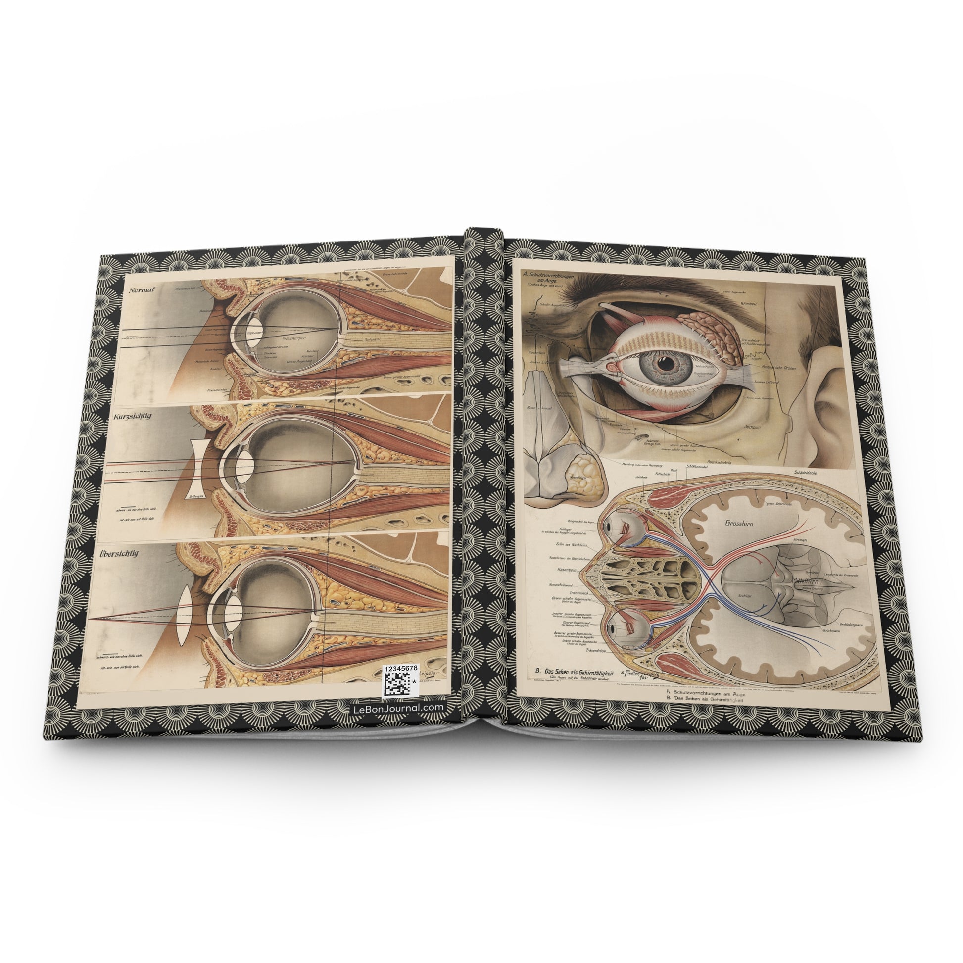 Anatomical eye hardcover journal spine and full-wrap A. Fiedler 1916-1940 Leipzig German medical anatomical chart - LeBonJournal
