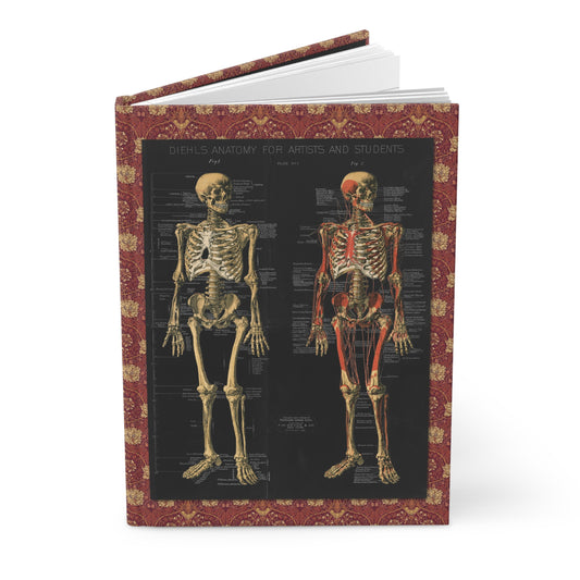 Anatomical skeleton journal with Conrad Diehl 1888 chromolithograph plates from Anatomy for Artists and Students front and back skeletal views - LeBonJournal
