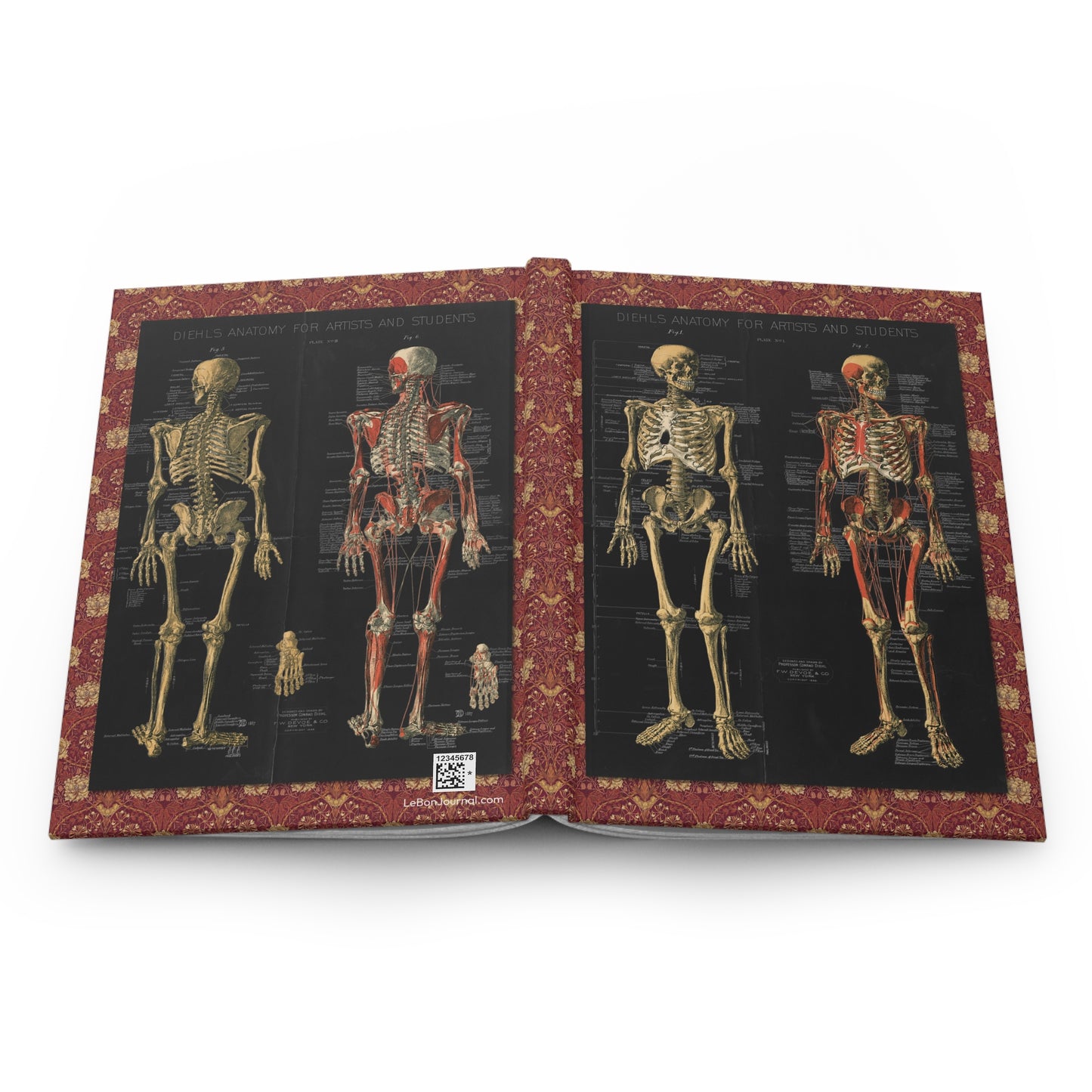 Anatomical skeleton hardcover journal spine and full-wrap Conrad Diehl 1888 chromolithograph skeletal anatomy design - LeBonJournal