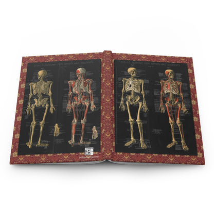 Anatomical skeleton hardcover journal spine and full-wrap Conrad Diehl 1888 chromolithograph skeletal anatomy design - LeBonJournal