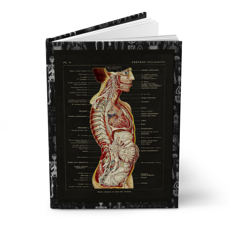 Anatomy hardcover journal with Larousse Médical 1912 cerveau nerfs crâniens chromolithographic plate on black background - LeBonJournal