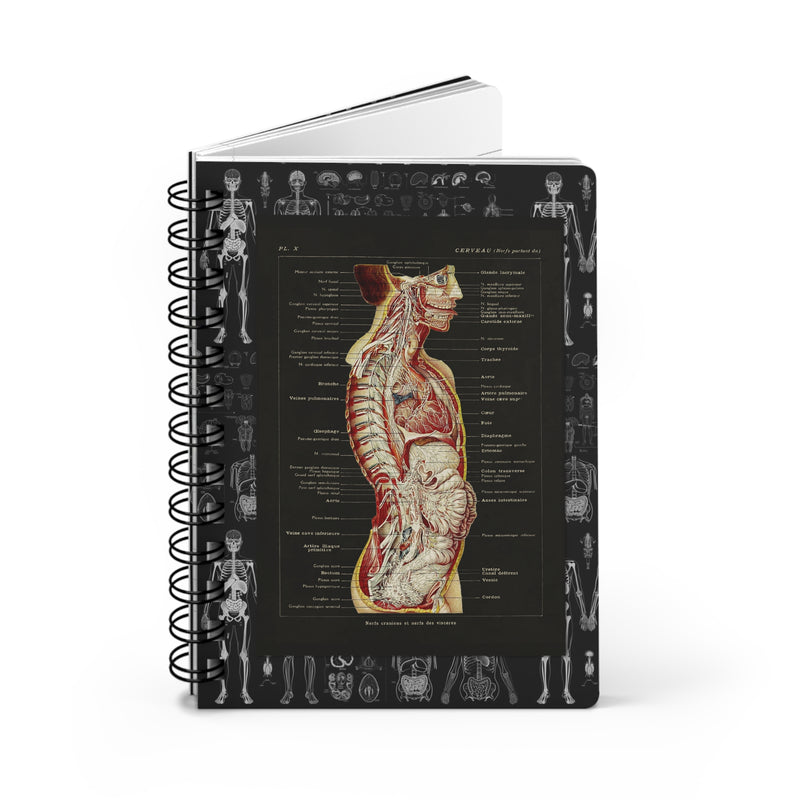 Anatomy spiral journal with Larousse Médical 1912 Planche X cerveau nerfs crâniens chromolithographic plate on black - LeBonJournal
