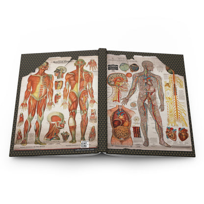 Anatomy hardcover journal spine and full-wrap Gustave Michel 1910 medical charts lithographs - LeBonJournal

