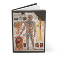 Anatomy journal Gustave H. Michel 1910 medical charts arterial venous nervous muscular systems - LeBonJournal