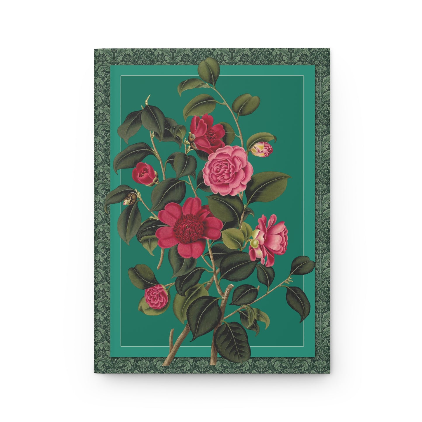 Anemone flowered Waratah and Rose colored Middlemist's Camellia front cover from Clara Maria Pope 1819 Samuel Curtis Monograph engraved by Weddell - LeBonJournal
