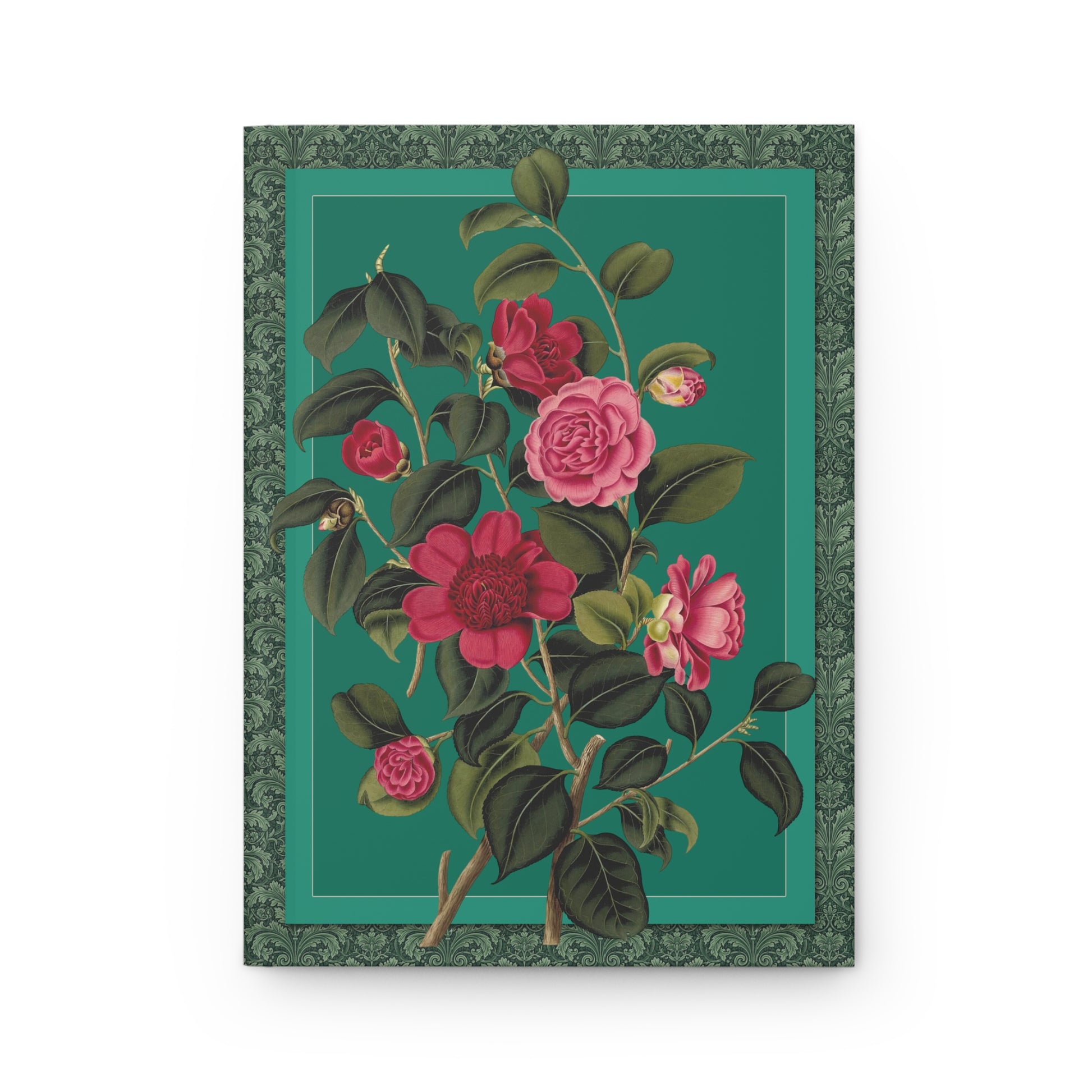 Anemone flowered Waratah and Rose colored Middlemist's Camellia front cover from Clara Maria Pope 1819 Samuel Curtis Monograph engraved by Weddell - LeBonJournal