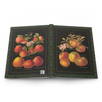 Apple hardcover journal spine and full-wrap Herefordshire Pomona 1885 chromolithographs - LeBonJournal
