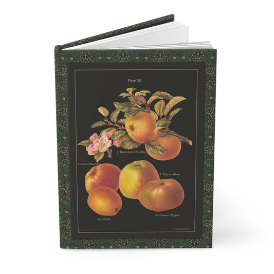 Apple journal Herefordshire Pomona 1885 Henry Graves Bull Alice Ellis Victorian chromolithograph pomology - LeBonJournal