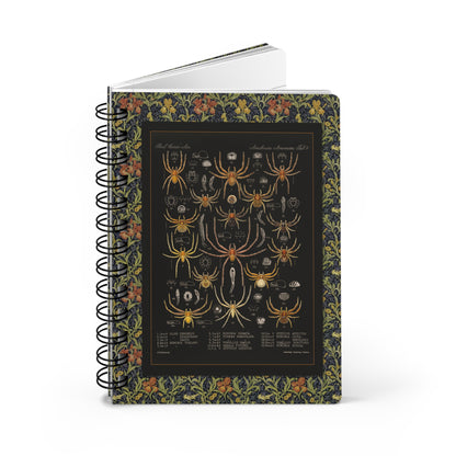 Arachnida spider spiral journal with Frederick Godman Victorian specimens on black background - LeBonJournal