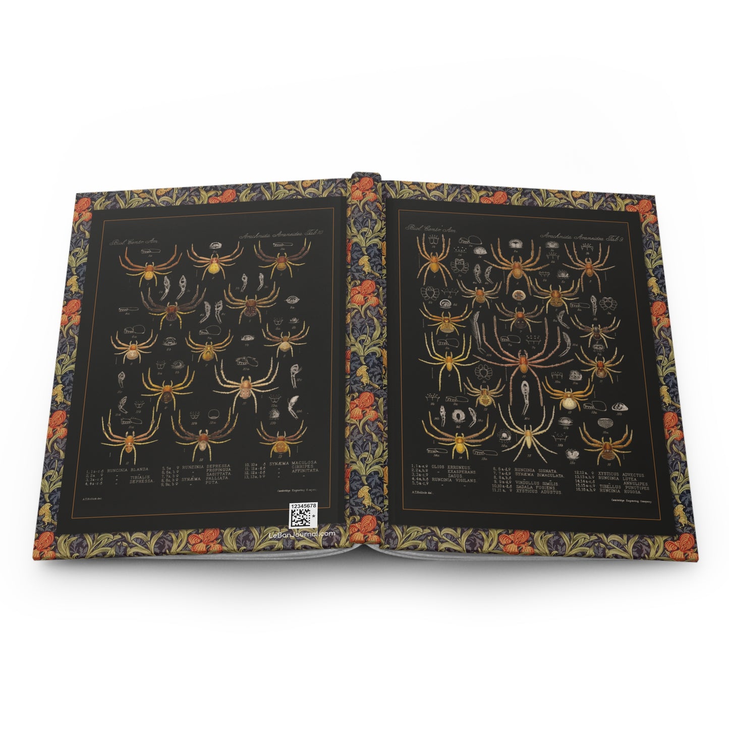Arachnida spider hardcover journal spine and full-wrap Godman 1879 Victorian floral botanical border design - LeBonJournal