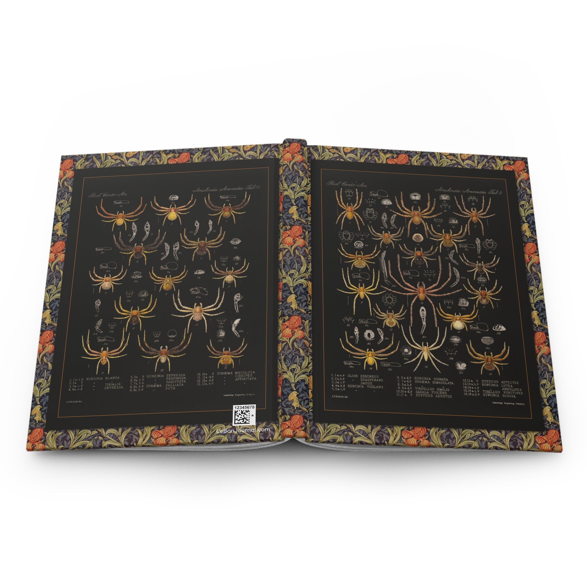 Arachnida spider hardcover journal spine and full-wrap Godman 1879 Victorian floral botanical border design - LeBonJournal