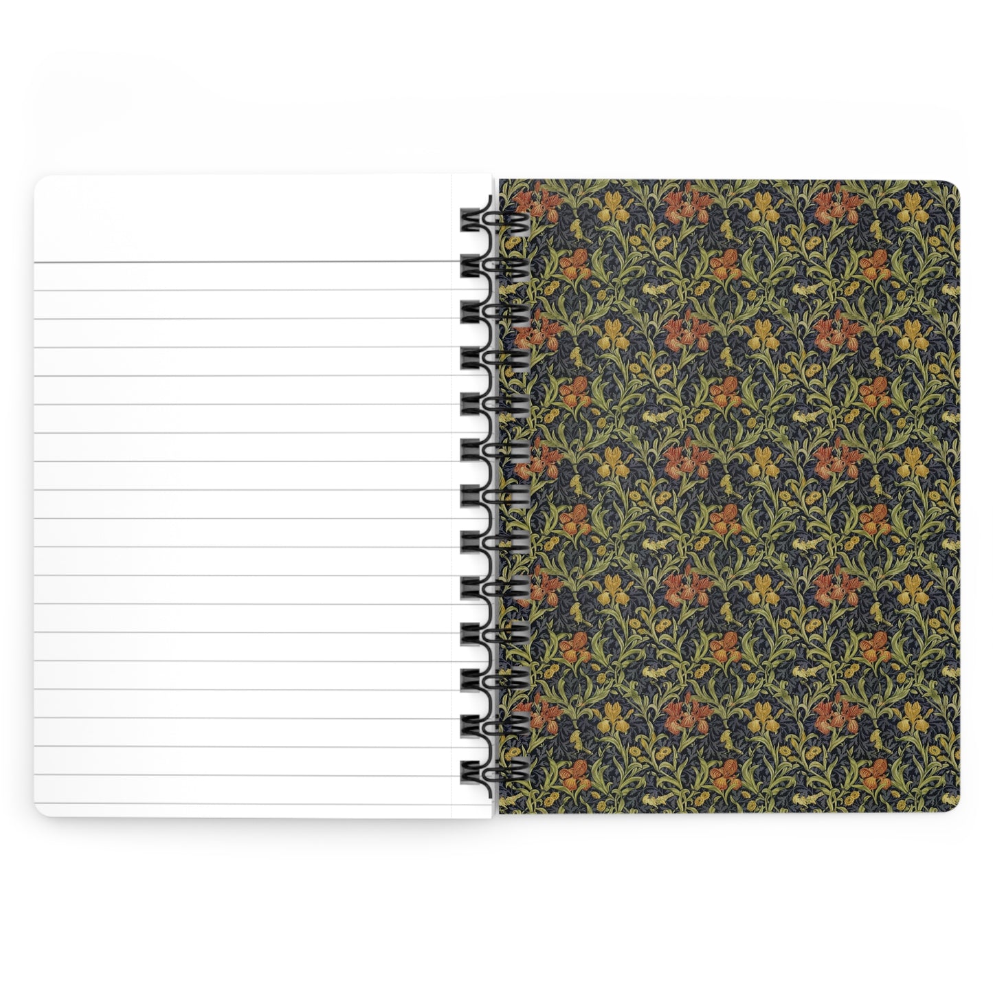 Arachnida spiral journal open showing inside covers with Godman Plates 09 and 10 spider specimens - LeBonJournal