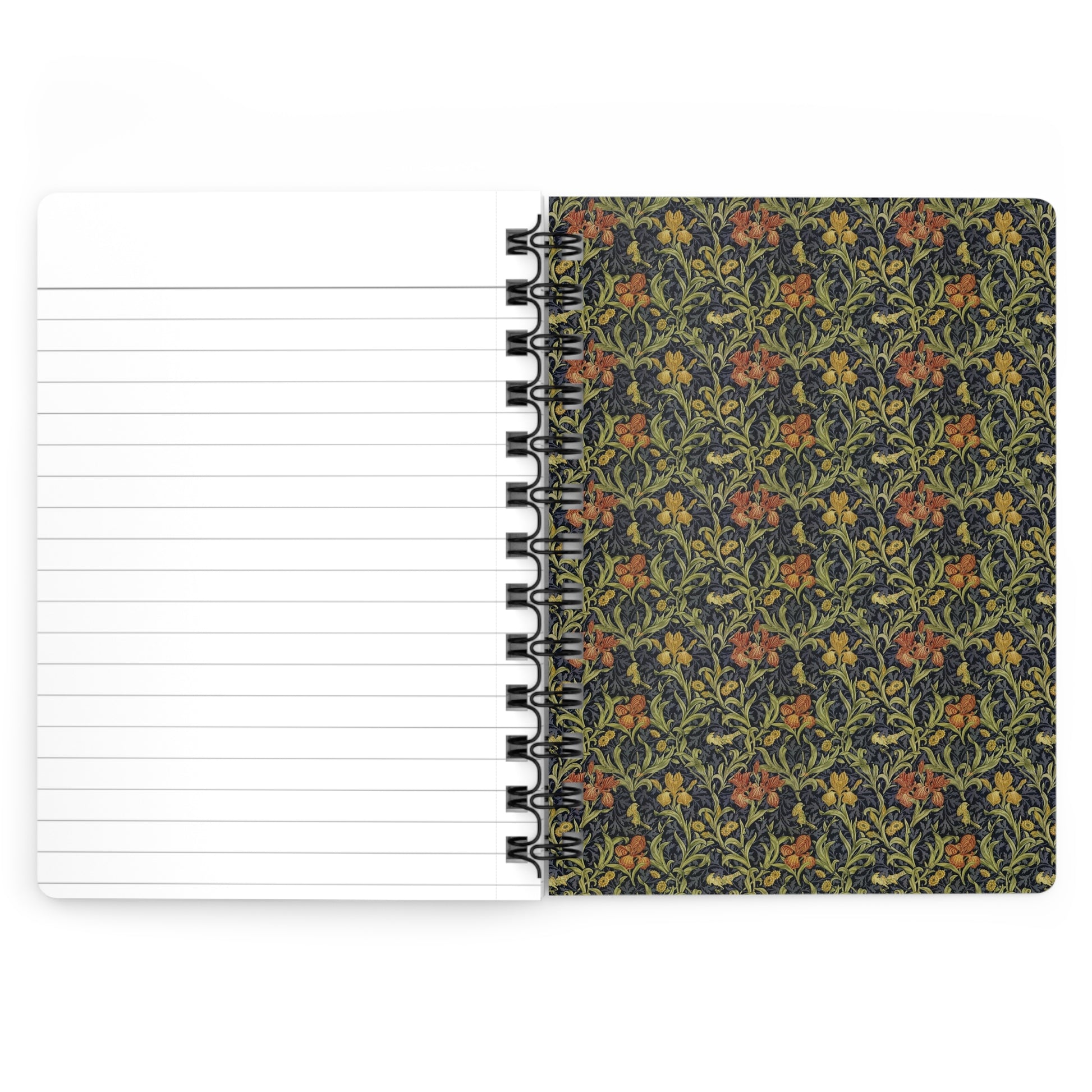 Arachnida spiral journal open showing inside covers with Godman Plates 09 and 10 spider specimens - LeBonJournal