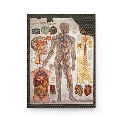 Arterial venous nervous systems front cover Gustave Michel 1910 medical chart brain heart organs - LeBonJournal

