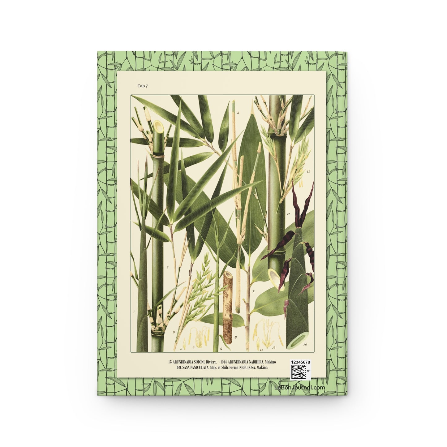 Shirasawa Makino 1912 Tab 7 Arundinaria simonii narihira Sasa palmata nebulosa bamboo flower back cover - LeBonJournal