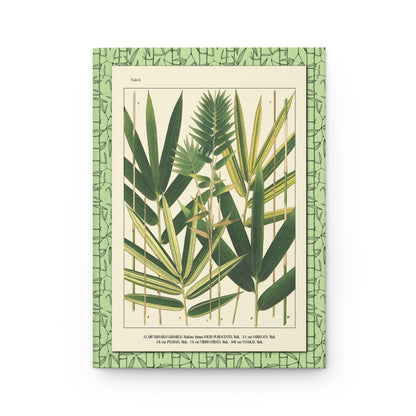 Shirasawa Makino 1912 Tab 6 Arundinaria variabilis variegata pygmaea viridi-striata five varieties front cover - LeBonJournal