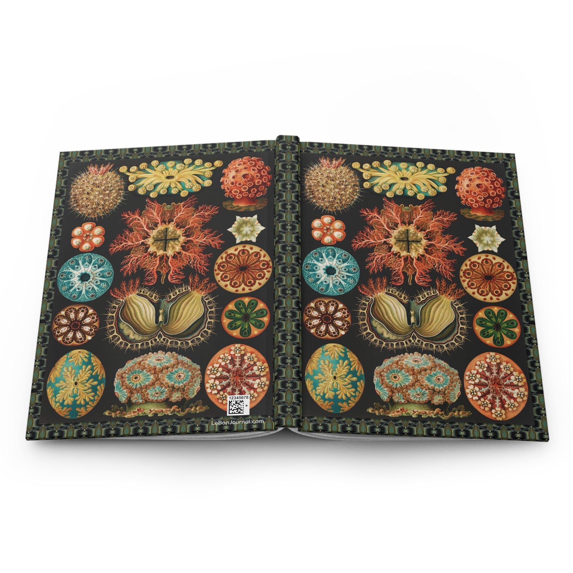 Ascidiae sea squirts journal open flat showing casewrap binding spine with Ernst Haeckel Kunstformen der Natur 1899 Plate 85 front and back covers - LeBonJournal