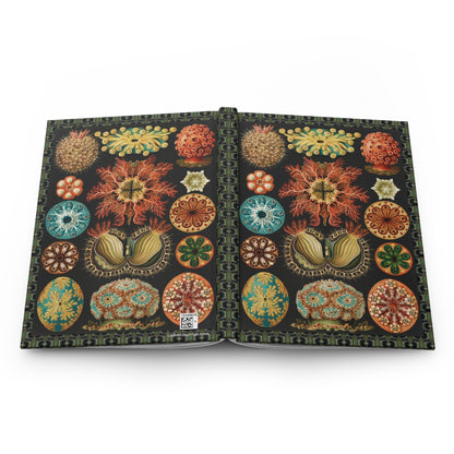 Ascidiae sea squirts journal open flat showing casewrap binding spine with Ernst Haeckel Kunstformen der Natur 1899 Plate 85 front and back covers - LeBonJournal