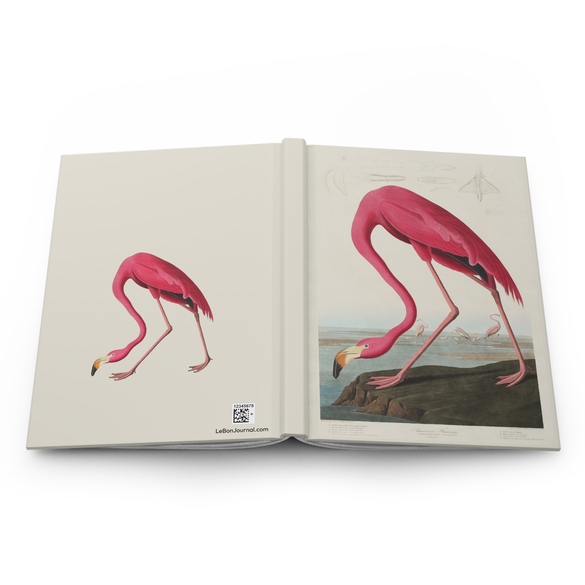 Open Audubon Flamingo journal showing durable casewrap binding, hardcover construction with Plate 431 American Flamingo on front and cropped detail on back cover, and flexible spine for lay-flat writing - LeBonJournal