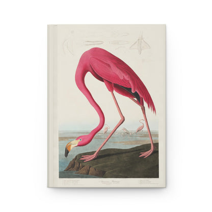 Front cover of Audubon Flamingo journal featuring Plate 431 American Flamingo with distinctive pink plumage and bent neck pose from The Birds of America on premium matte hardcover - LeBonJournal