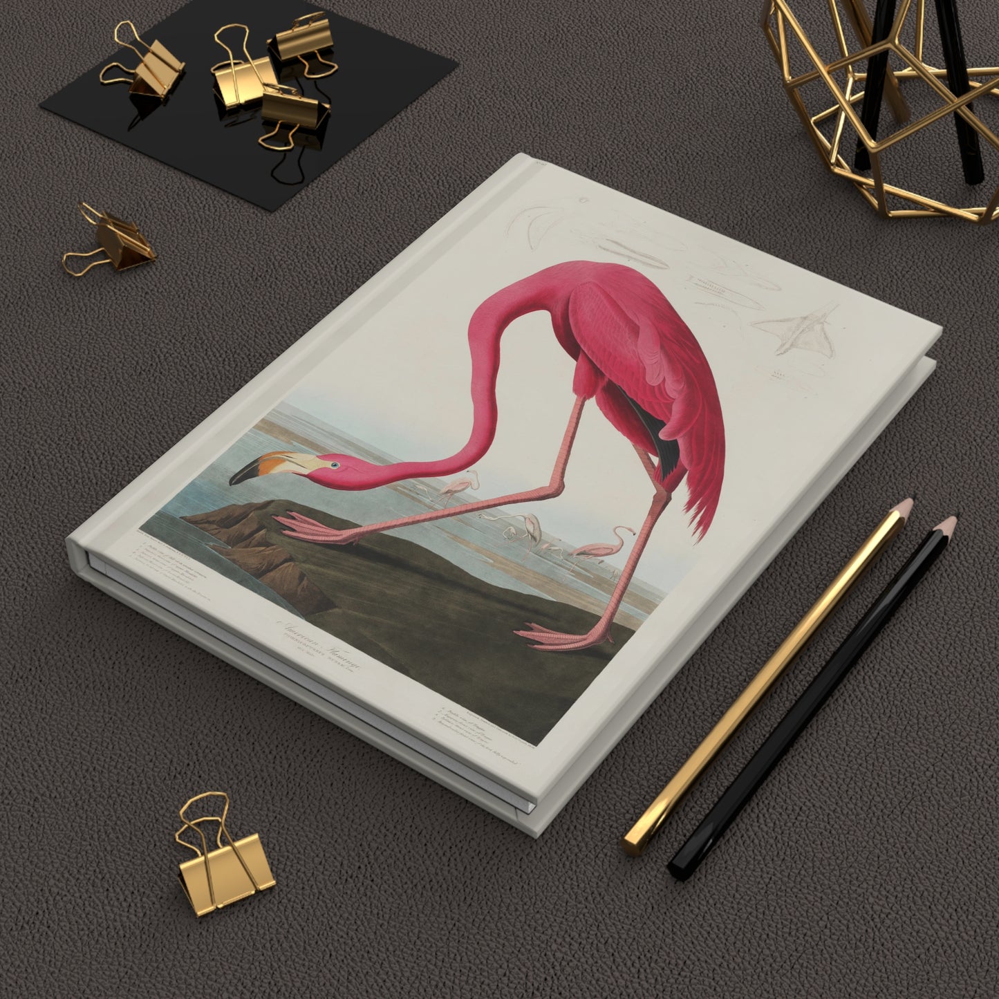 Audubon American Flamingo hardcover journal in lifestyle setting, premium matte finish journal featuring iconic ornithological illustration, elegant stationery for bird watchers, naturalists, and Audubon collectors - LeBonJournal