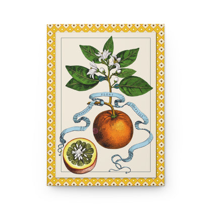 Aurantium Flore Duplici double-flowered orange front cover on black ground, copper engraving by Cornelis Bloemaert after Pietro da Cortona, Ferrari Hesperides Rome 1646 - LeBonJournal
