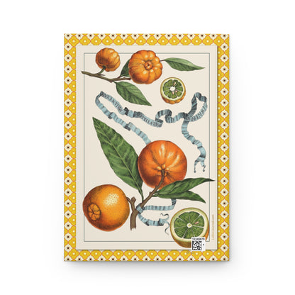 Aurantium Stellatum Rosenum star-shaped ornamental citrus back cover, Ferrari Hesperides 1646 encyclopaedic documentation of 17th-century Italian citrus cultivars - LeBonJournal