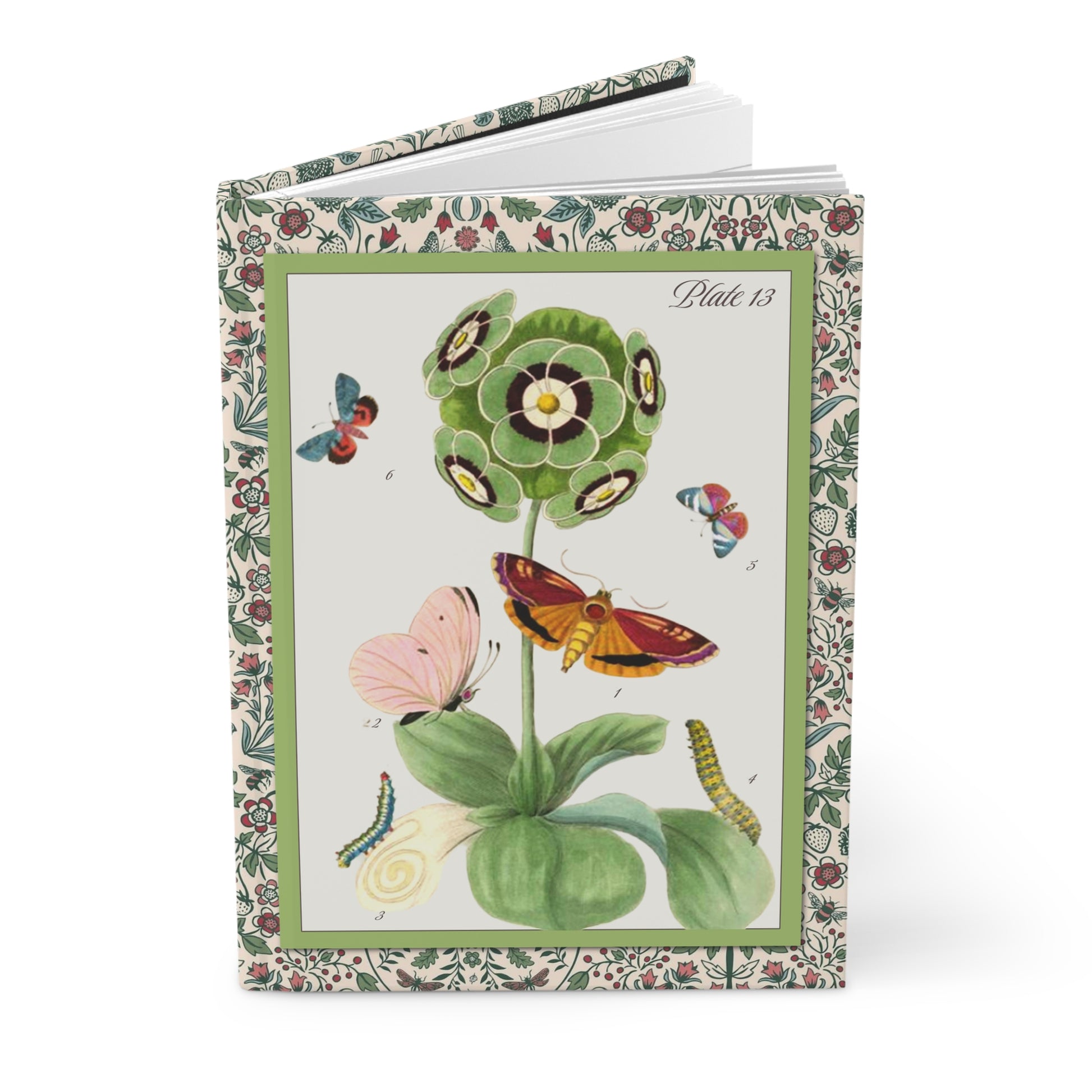 Auricula journal with 1794 Nederlandsch Bloemwerk Primula engraving and Gottorfer Codex 1649 Holtzbecker gouache botanical plates - LeBonJournal