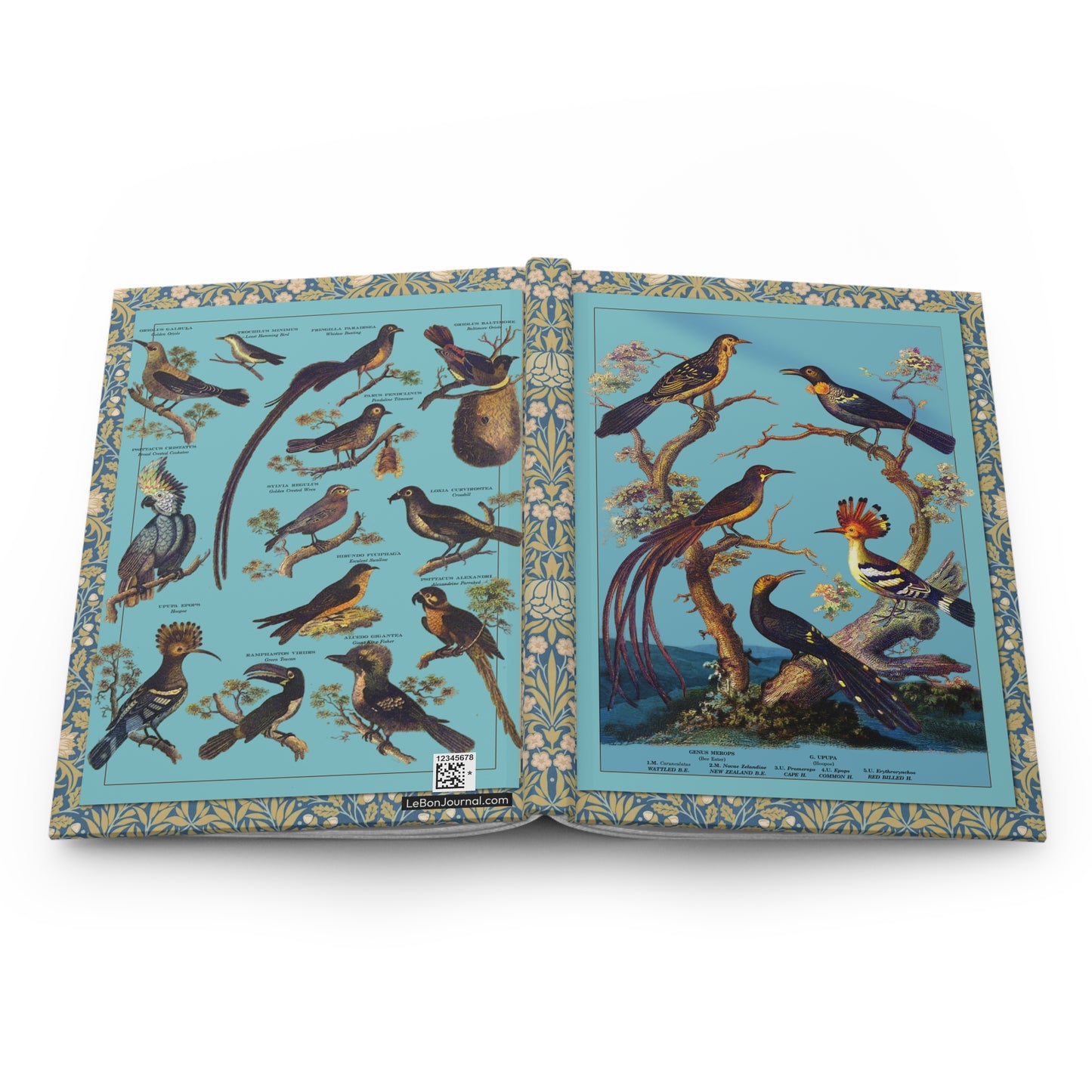 Avian hardcover journal spine and full-wrap Oliver Goldsmith 1825 engravings turquoise - LeBonJournal
