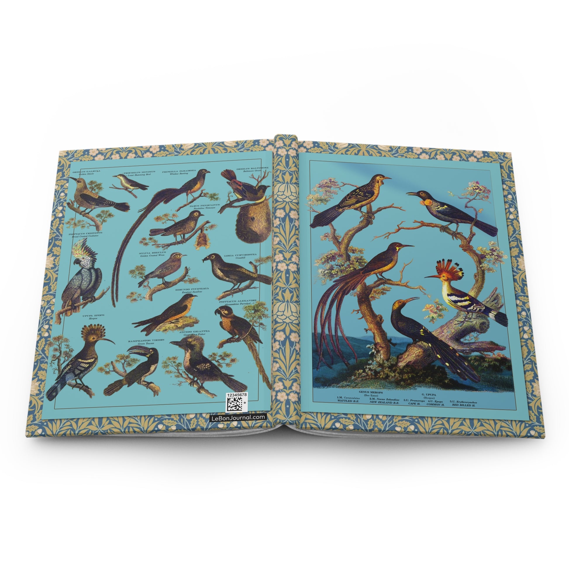 Avian hardcover journal spine and full-wrap Oliver Goldsmith 1825 engravings turquoise - LeBonJournal
