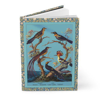 Avian journal Oliver Goldsmith 1825 History of Earth Animated Nature Picae Passeres turquoise background - LeBonJournal
