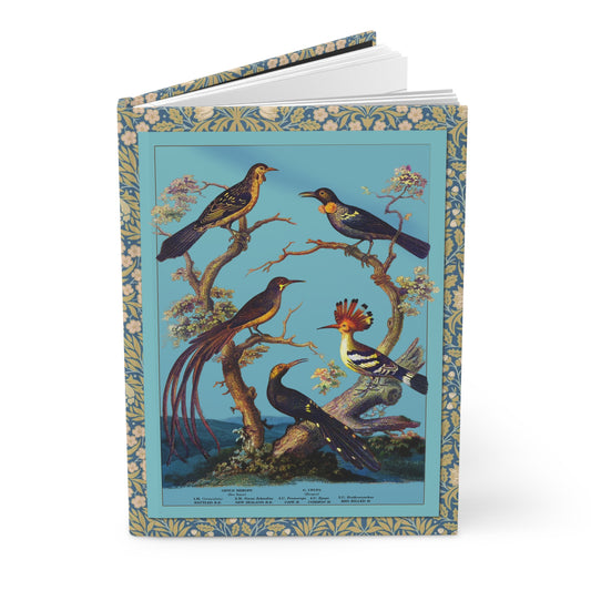 Avian journal Oliver Goldsmith 1825 History of Earth Animated Nature Picae Passeres turquoise background - LeBonJournal
