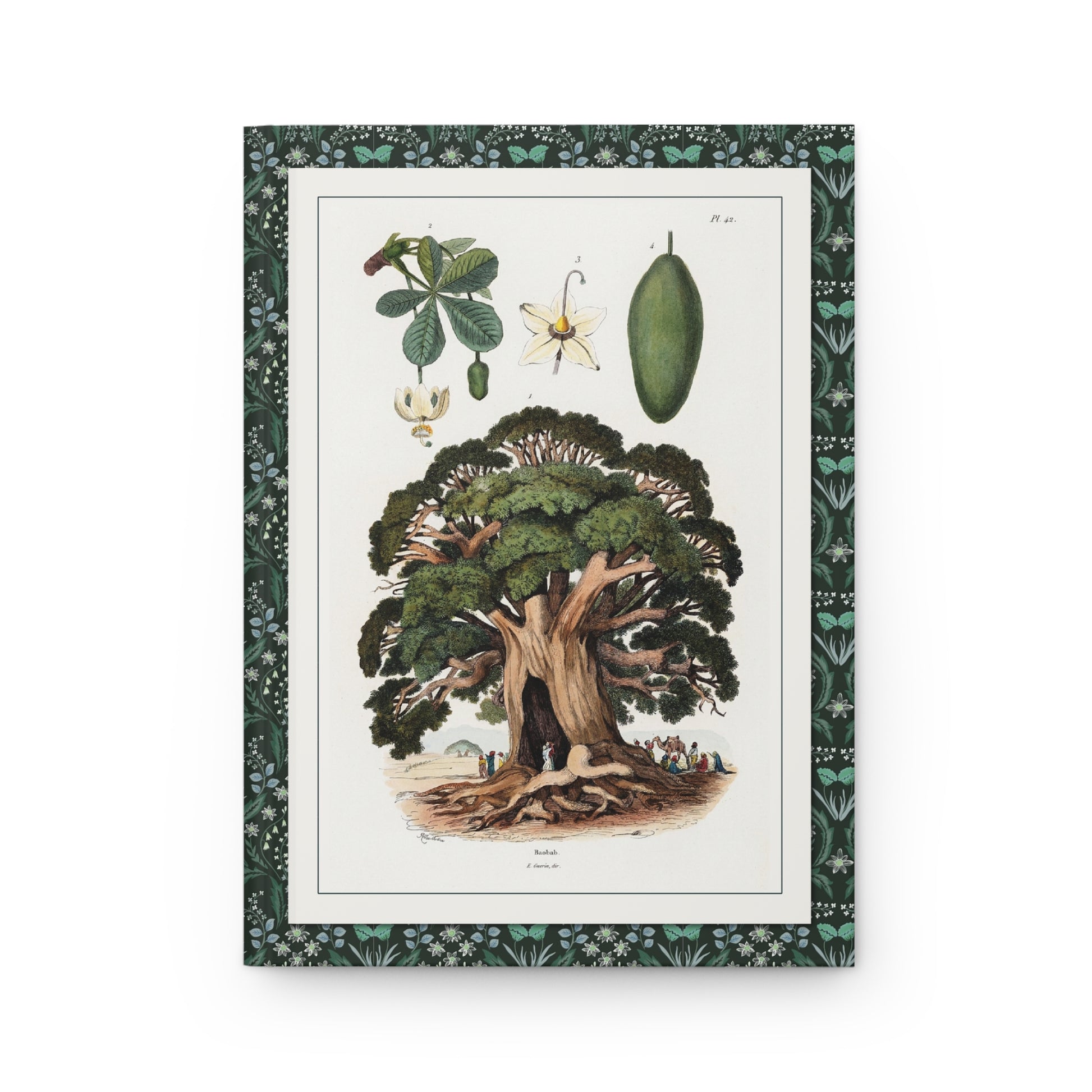Baobab Adansonia front cover with figures at base of massive trunk, hand-coloured steel engraving, Dictionnaire pittoresque 1833 - LeBonJournal