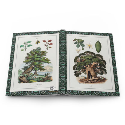 Baobab and beech hardcover journal open showing front and back covers with casewrap sewn spine, Dictionnaire pittoresque 1833 - LeBonJournal