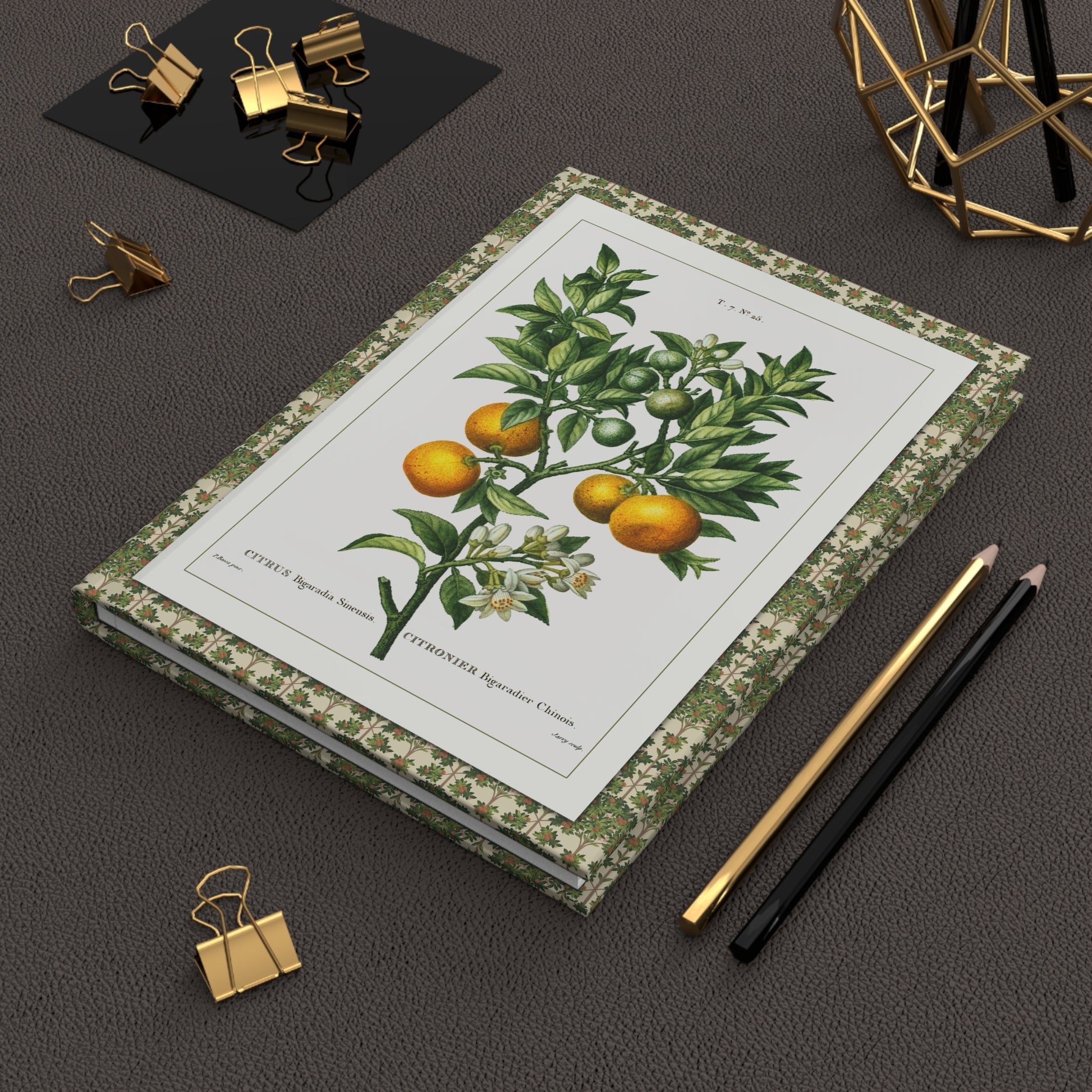Bessa 1801-1819 citrus journal on workspace celebrating Traité des Arbres et Arbustes - LeBonJournal
