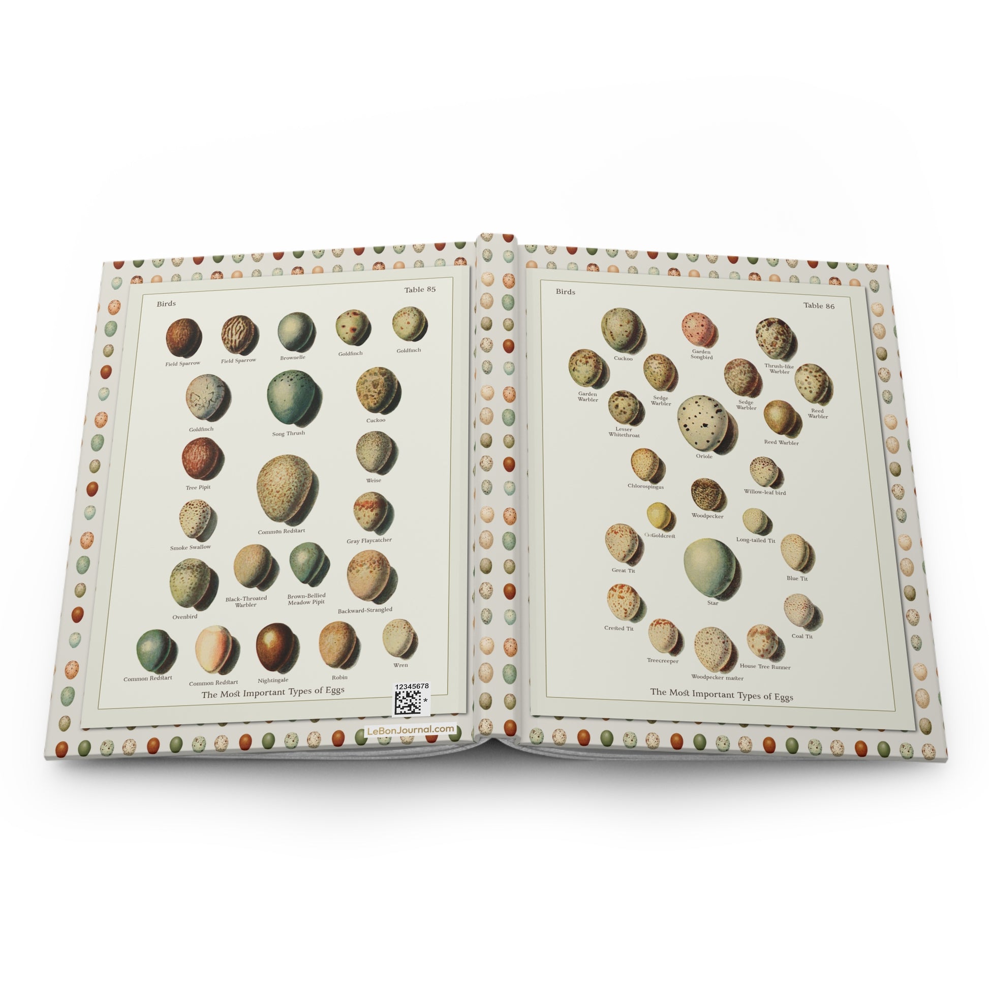 Bird eggs hardcover journal spine full-wrap Kleinschmidt Die Singvögel der Heimat 1921 oology - LeBonJournal
