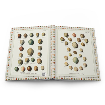 Bird eggs hardcover journal spine full-wrap Kleinschmidt Die Singvögel der Heimat 1921 oology - LeBonJournal
