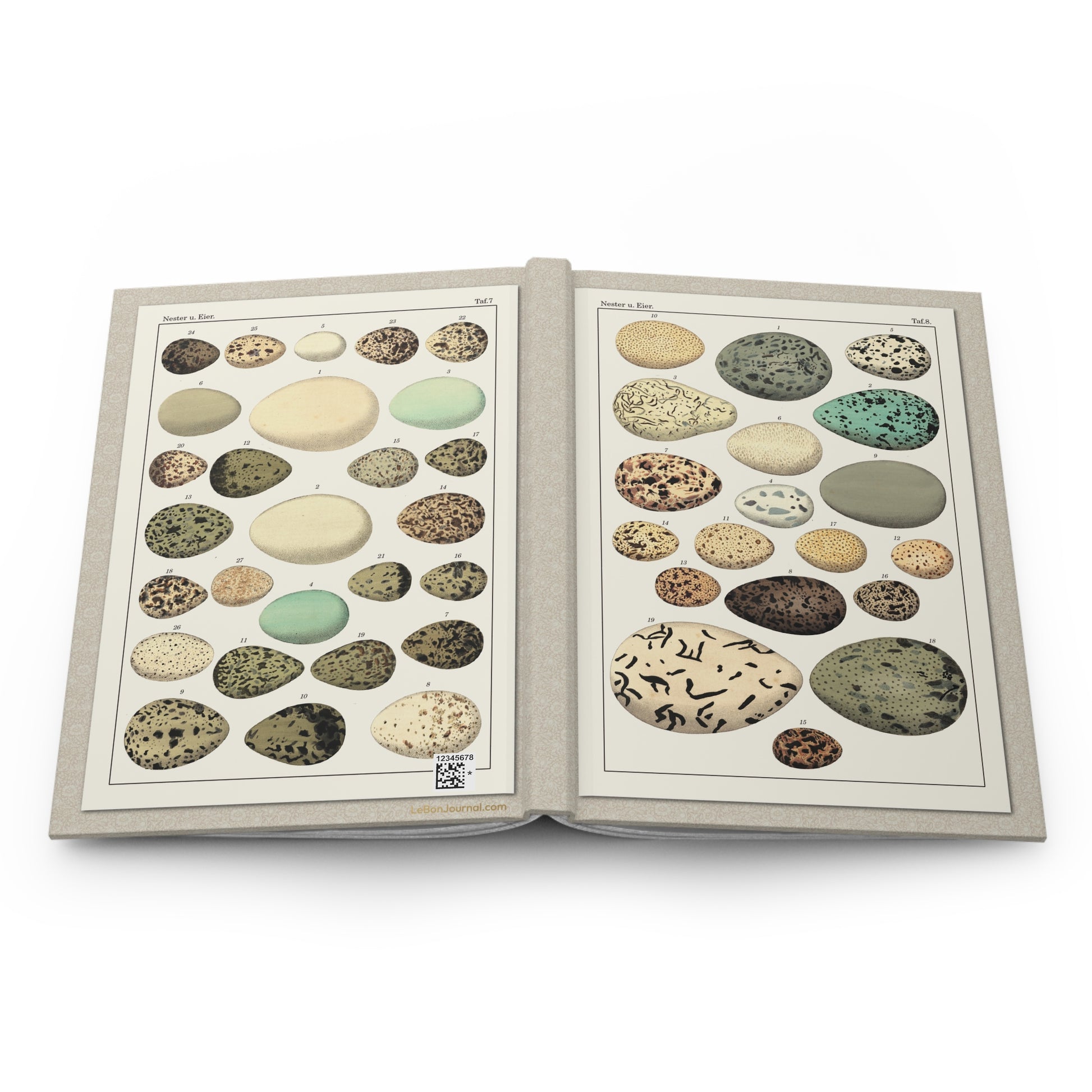 Bird eggs hardcover journal spine full-wrap Lorenz Oken Allgemeine Naturgeschichte 1833 Taf 7 Taf 8 - LeBonJournal
