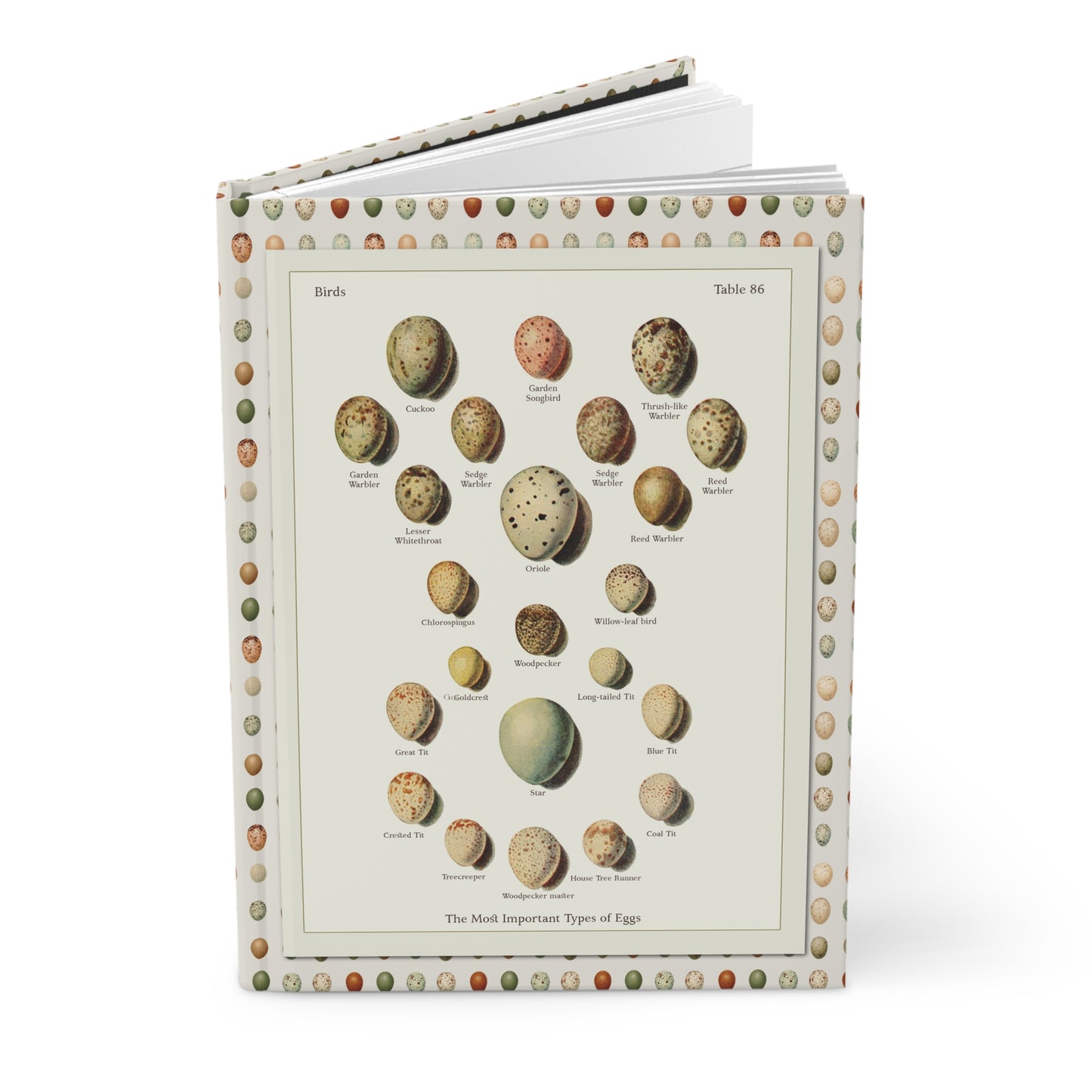 Bird eggs journal Kleinschmidt Die Singvögel der Heimat 1921 oology plates Cuckoo Oriole Robin Wren Nightingale - LeBonJournal
