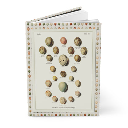 Bird eggs journal Kleinschmidt Die Singvögel der Heimat 1921 oology plates Cuckoo Oriole Robin Wren Nightingale - LeBonJournal
