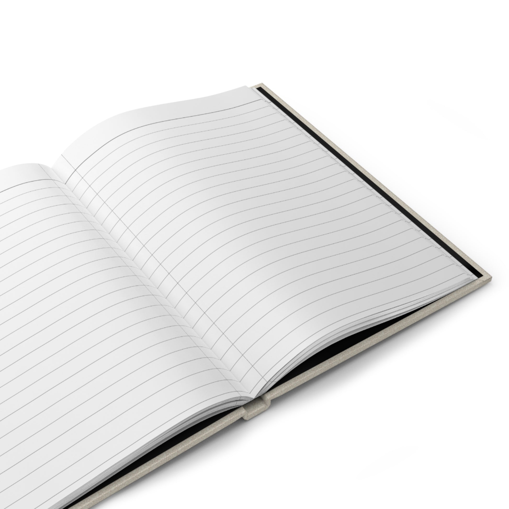 Bird eggs journal interior showing 150 perforated lined pages with casewrap sewn binding - LeBonJournal
